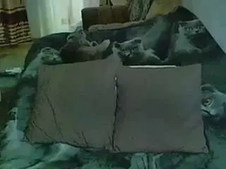 Camsoda Private Sex Chat of sex2