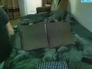 Camsoda Adult Video Chat of sex2