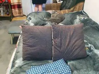 Camsoda Best live sex cam show of sex2