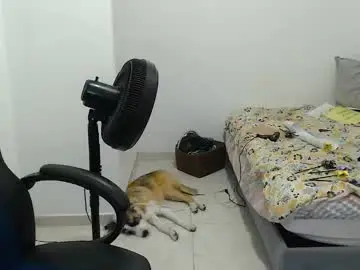 Chaturbate Live Sex of blumbum