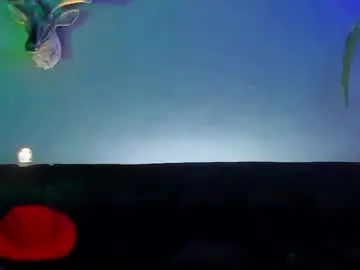 Chaturbate Best Webcam of dennis_cox_