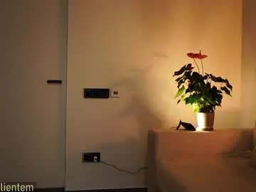 Chaturbate Live Sex Cam of ms_seductive