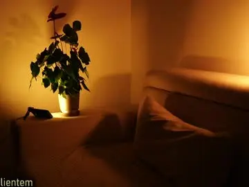 Chaturbate Free Porn Cam of ms_seductive