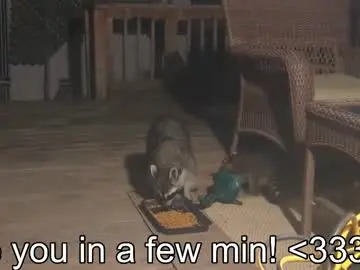 Chaturbate Live Sex Cam of rndmzd