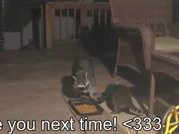 Chaturbate Best live sex cam show of rndmzd