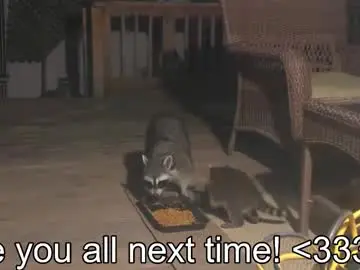 Chaturbate Sex Chat of rndmzd