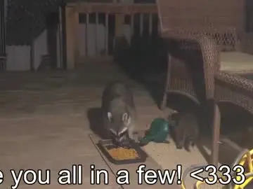 Chaturbate Sex Cam of rndmzd