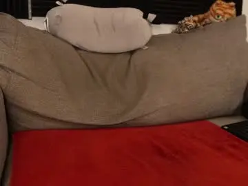 Chaturbate Adult Video Chat of rndmzd