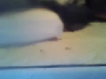 Chaturbate Watch Live Sex Cams of crave_me_