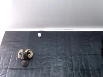 Chaturbate Adult Webcam of cristal_smith06