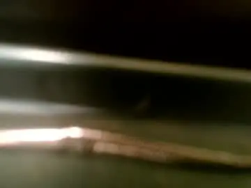 Chaturbate Live Sex Cam of orishwaters