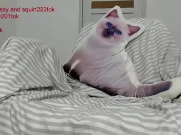 Chaturbate Sex Cam of you_love_melisa