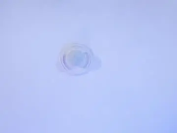 Chaturbate Best Webcam of ryan_evannss