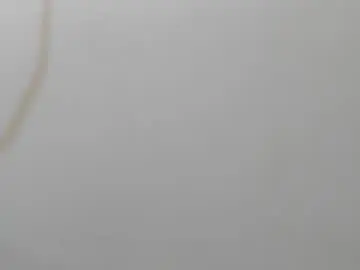 Chaturbate Adult Webcams of jacob_benelli