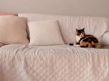 Chaturbate Adult Webcams of neo_dimou