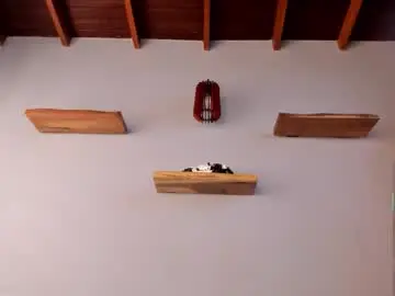 Chaturbate Adult Webcams of neo_dimou