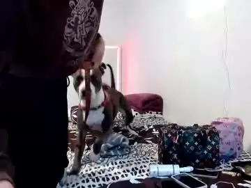 Chaturbate Nude Webcam of doll_sary