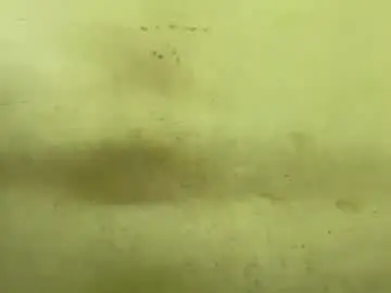 Chaturbate Free Live Porn of rupali01