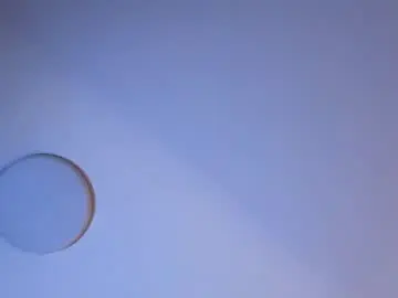 Chaturbate Live Sex of ivy_gail