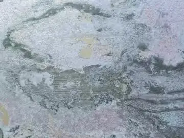 Chaturbate Sex Chat of neffertiry_ebonny