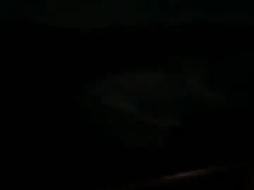 Chaturbate Nude Webcam of blondefoxsilverfox