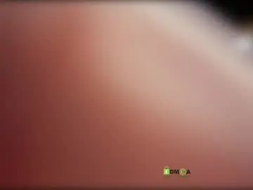 Chaturbate Free Live Porn of iron__chapman