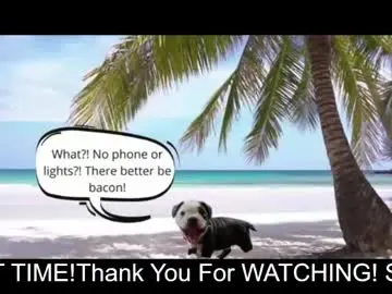 Chaturbate Live Sex Cam of bigbananamilfshake