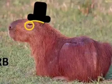 Chaturbate Adult Webcams of revivedunknown