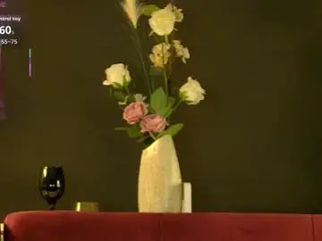 Chaturbate Private Sex Chat of maddyheart