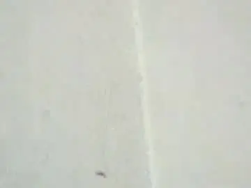 Chaturbate Nude Webcam of birbikrom104