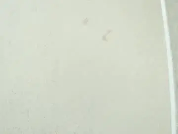 Chaturbate Live Porn of birbikrom104