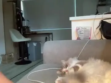 Chaturbate Live Porn of mollyy2006