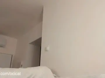 Chaturbate Live Sex Cam of ocicat