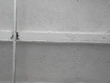 Chaturbate Private Sex Chat of king_mastah