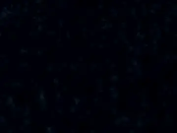 Chaturbate Best Webcam of blakx_01