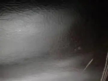 Chaturbate Adult Webcam of secret18slaveanon