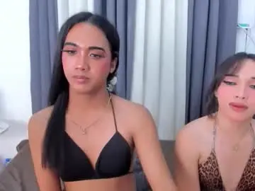 Chaturbate Live Sex Cam of asian_bigcockthea01
