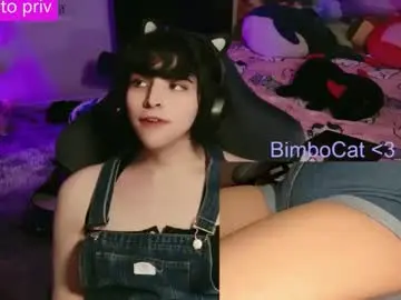 Chaturbate Adult Webcams of bimbocat