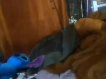 Chaturbate Watch Live Sex Cams of siofra