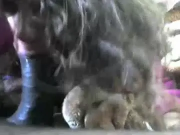 Chaturbate Watch Live Sex Cams of ebonyendebeest