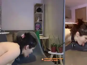 Chaturbate Adult Webcam of novafet