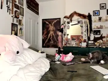 Chaturbate Best Webcam of eve003300