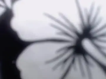 Chaturbate Adult Video Chat of drake_brown_23