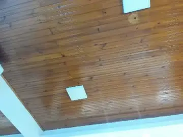 Chaturbate Live Sex of sweetkata_
