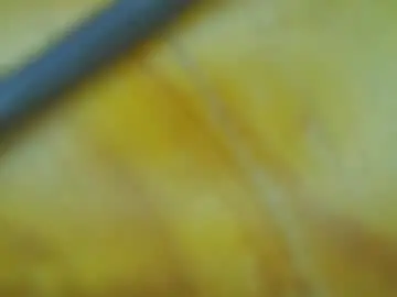 Chaturbate Watch Live Sex Cams of brianj_22