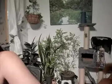 Chaturbate Sex Chat of sexnherbs