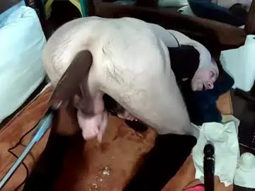 Chaturbate Live Sex of maxjr8008