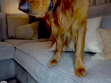 Chaturbate Watch Live Sex Cams of x_lily_x