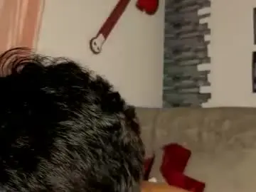 Chaturbate Adult Webcams of justdavid_