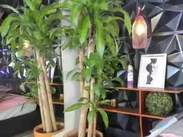 Chaturbate Best live sex cam show of honey__monroe